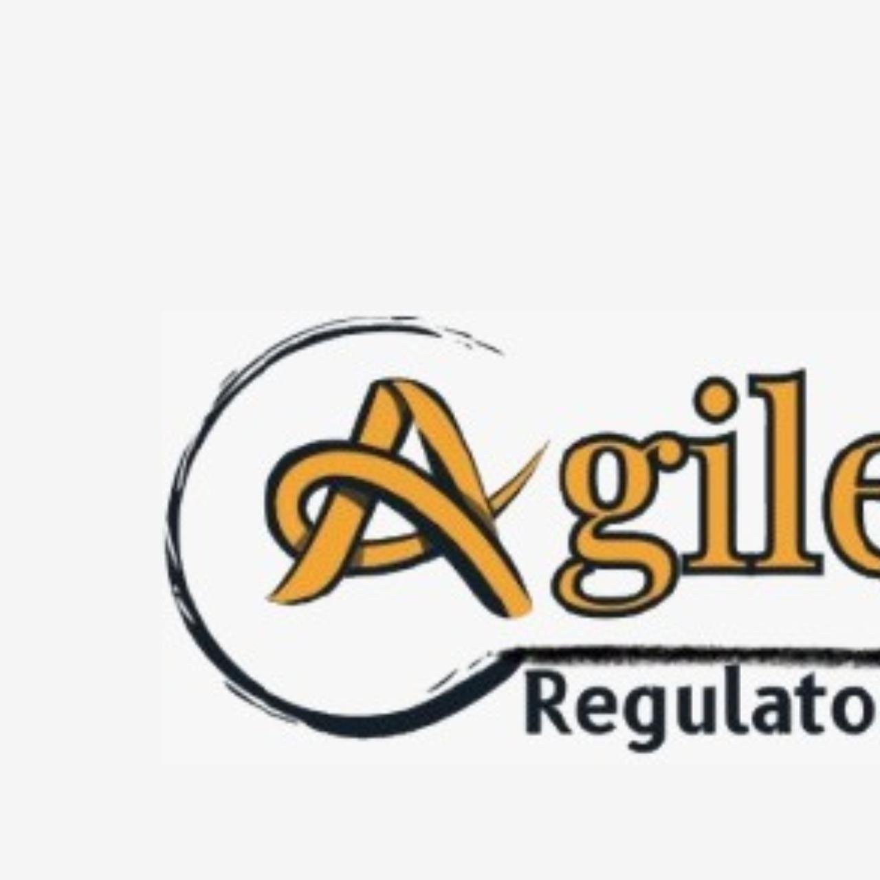 Agile Regulatory