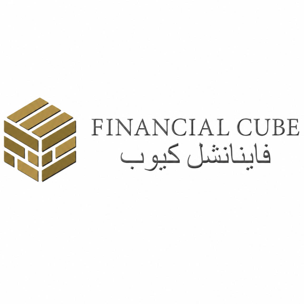 Financial Cube