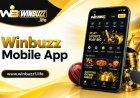 How to Use Winbuzz on Android Smartphones