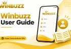 Winbuzz Transaction Guide: What New Users Should Know
