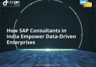 SAP Consultants in India