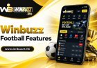 Winbuzz Football Guide: Champions League 2026 Match Information