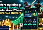 Before Building a Fantasy Sports App, Understand These Revenue Drivers