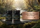 From MGO 550 to MGO 1500: A Complete Guide to Manuka Honey Strength