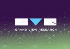 Plant-Based Enzymes Are Rising: A New Chapter for the Enzymes Market