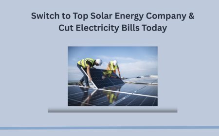 Switch to Top Solar Energy Company & Cut Electricity Bills Today