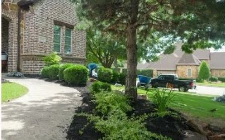 Ridgeview Landscape: Professional Landscapers in Mansfield for Beautiful Outdoor Spaces