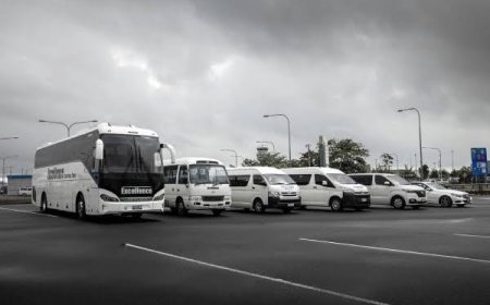 Port Douglas to Cairns Airport Bus: Complete Travel Guide