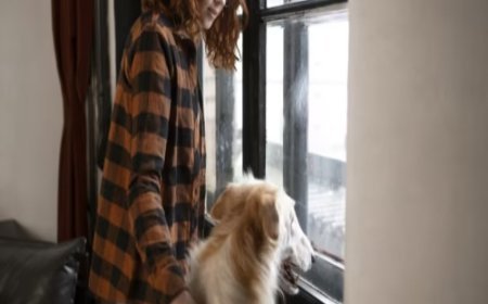 Dog Separation Anxiety Trainer: A Practical Guide
