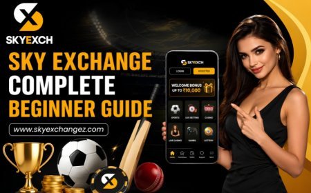 Sky Exchange Account Dashboard Settings Guide