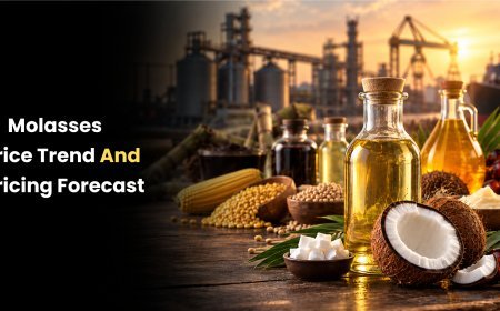 Molasses Price Trend 2026: Price Trends, Forecast, Chart, Prices and Index