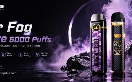 Mr Fog Elite 2026: Flavors, 5000 Puffs, Price & A Look at the Popular Disposable Vape