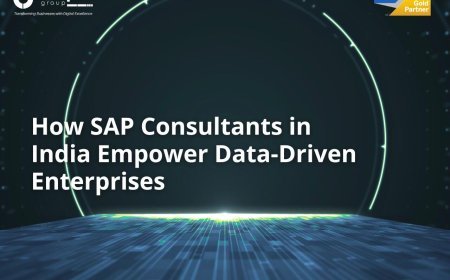 SAP Consultants in India