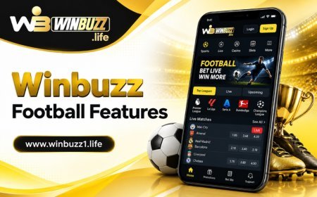 Winbuzz Football Guide: Champions League 2026 Match Information