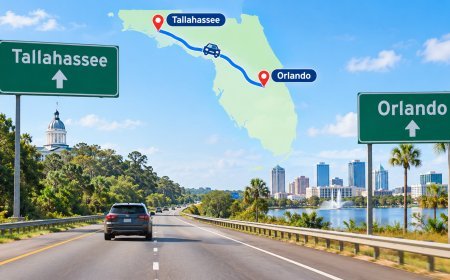 Tallahassee to Orlando Drive: A Practical Guide for First-Time Road Travelers
