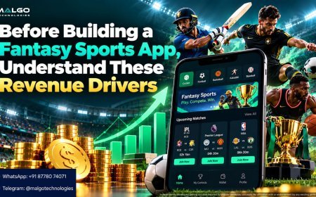 Before Building a Fantasy Sports App, Understand These Revenue Drivers