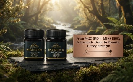 From MGO 550 to MGO 1500: A Complete Guide to Manuka Honey Strength