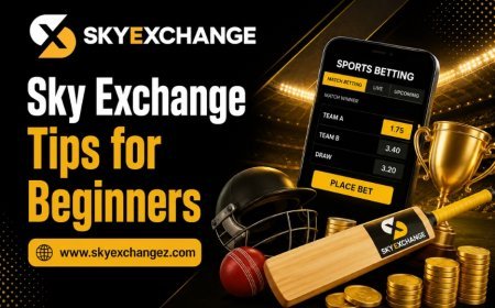 Sky Exchange Cricket Guide: How 2026 Match Scores and Player Data Are Displayed
