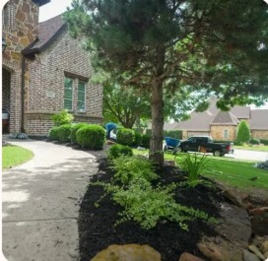 Ridgeview Landscape: Professional Landscapers in Mansfield for Beautiful Outdoor Spaces