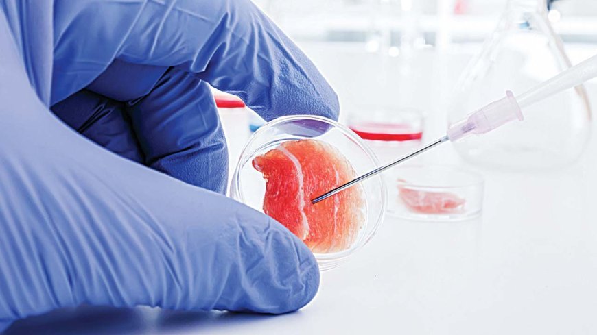Stem Cell Therapy for Male Infertility UK: New Options