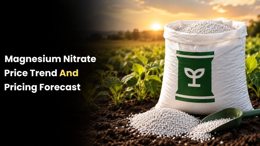 Magnesium Nitrate Price Trend 2026: Price Trends, Forecast, Chart, Prices and Index