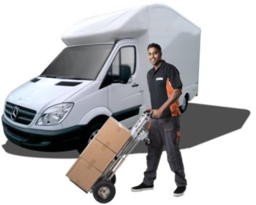 Reliable Removal Company York for a Smoothly Planned Relocation