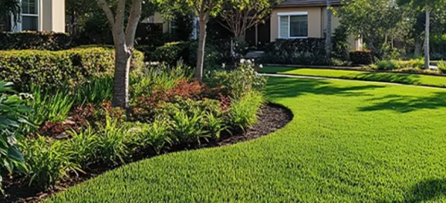 Landscaping Shreveport: Creating Beautiful, Functional Outdoor Spaces