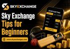 Sky Exchange Match Analysis Guide: 2026 Scores, Form and Performance Metrics