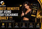 Sky Exchange App Review 2026: Mobile Platform Features Explained