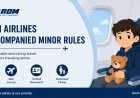 What Age Can a Child Fly Alone on TAROM?