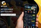 Sky Exchange Platform Features Guide: Sports Pages and Account Tools