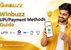 Winbuzz Payment Issues: Common Problems and Helpful Checks
