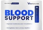 What are the benefits of Vita Naturals Blood Support Supplement?