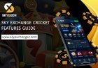 Sky Exchange Cricket Section: How to Read Match Information