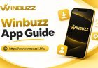 Winbuzz Platform Updates: How to Find New Features