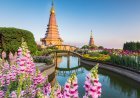 Beyond Visa Approval: The Hidden Financial Decisions Behind a Thailand Digital Nomad Visa