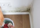 Mold Removal Los Angeles for Moisture Trapped in Stored Boxes and Building Materials