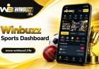 WinBuzz International Sports Guide: How to Follow Major Events in 2026