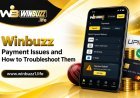 Winbuzz Failed Transaction Guide: Steps to Take After a Payment Error