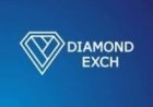 Diamondexch9 – Explore the Online Exchange Experience