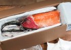 Seafood Delivery: What to Look for When Ordering Online