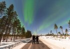 Are There Private Aurora Tours in Levi, Lapland?