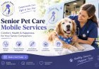 Senior Pet Care Mobile Services and Creating a Comfortable Home Care Routine