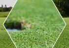 Golf Turf Manufacturer for Quality Artificial Golf Surfaces