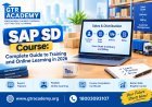 SAP SD Course: Complete Guide to Training and Online Learning in 2026