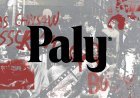 Paly Hollywood: How to Create a Streetwear Wardrobe for Every Occasion