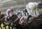 Hyderabad Horse Race Card Explained: A Complete Guide for Race Day Enthusiasts