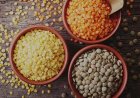 Lentil Processing Plant Project Report 2026: Investment Opportunities, Machinery Requirements, and Full Cost Analysis