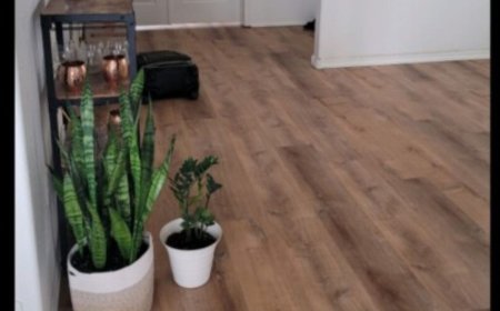 Professional LVP Installation Services in Denver Metro