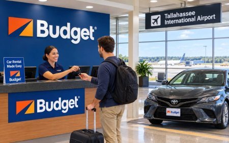 Budget Tallahassee Airport: A Practical Guide to Renting a Car at TLH